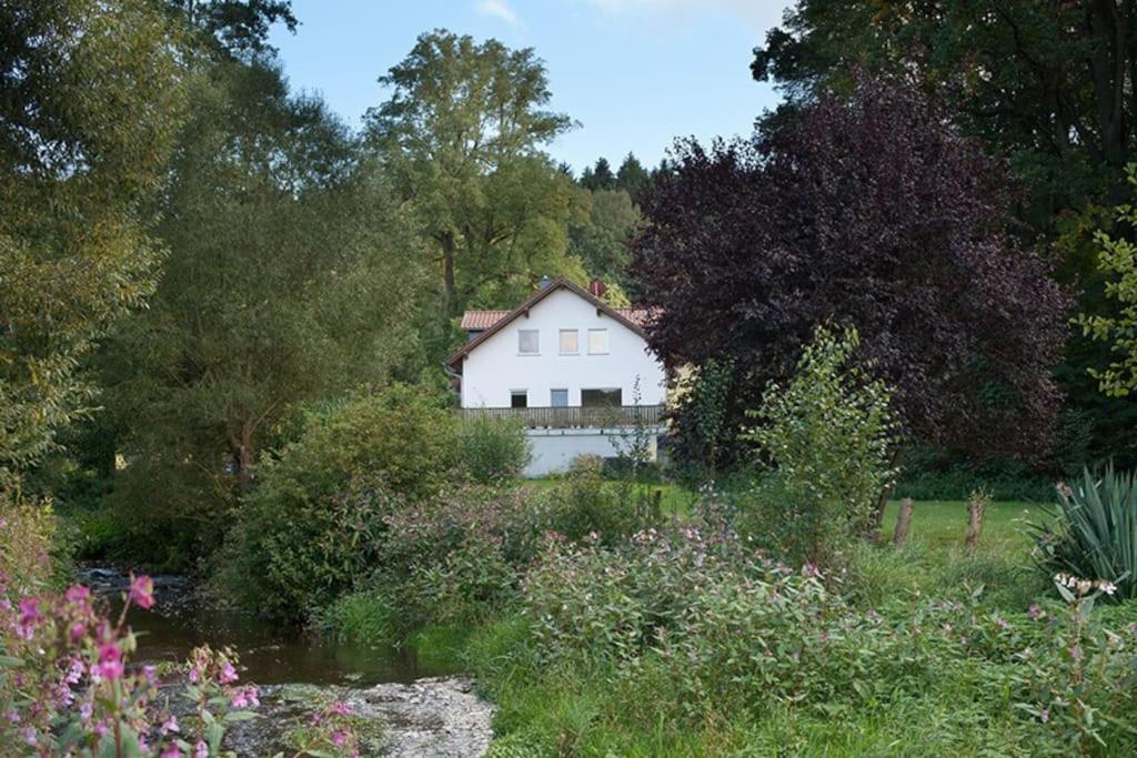 Wald-apartment Apartment Limabach - Oberfrohna