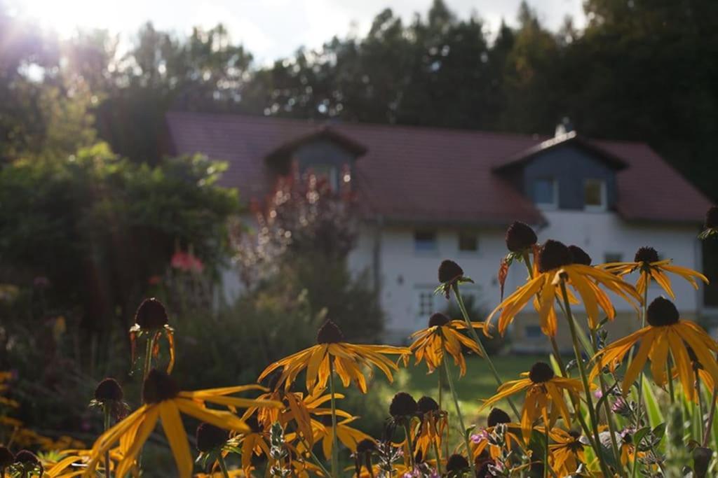 Wald-apartment * Limabach - Oberfrohna