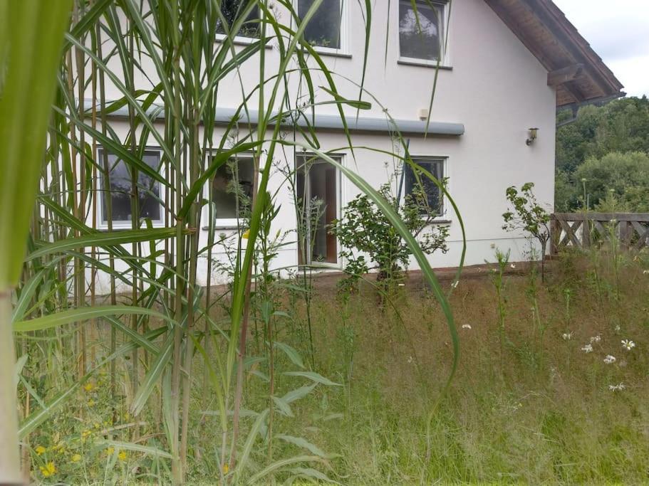 Wald-apartment Limabach - Oberfrohna